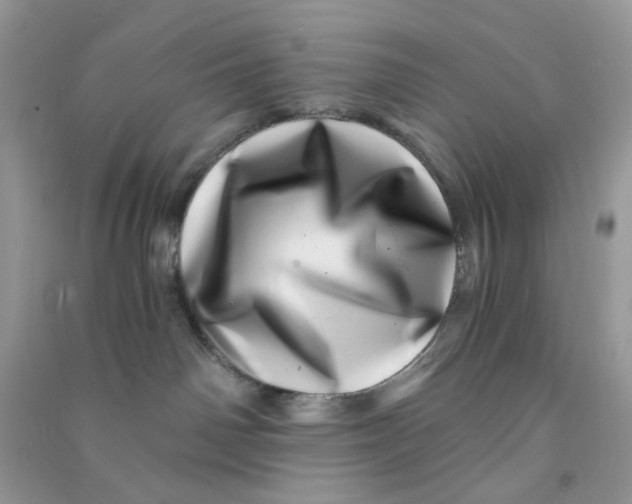 X0000090720142200708171934