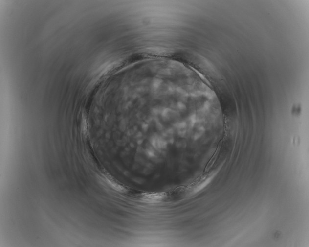 X0000090720143200708171934