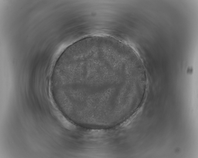X0000090720145200708171933