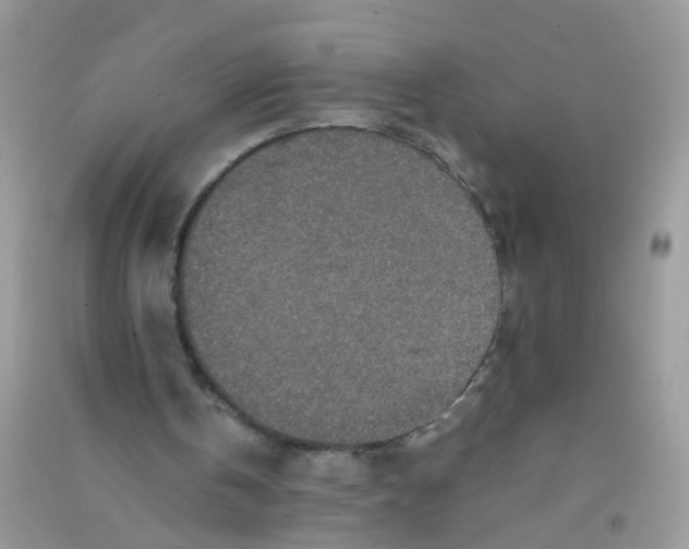X0000090720146200708171933