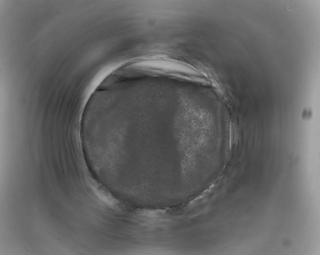 X0000090720147200708171933