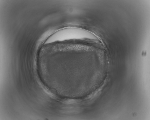 X0000090720149200708171934