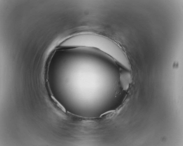 X0000090720150200708171934