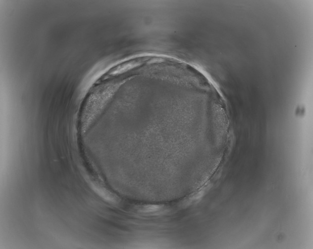 X0000090720151200708171934