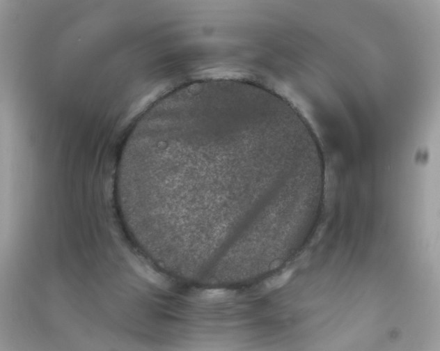 X0000090720153200708171934