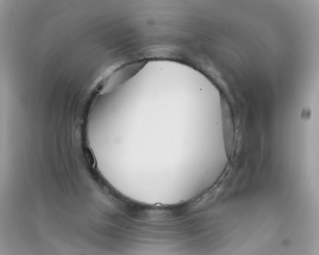 X0000090720154200708171934