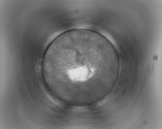 X0000090720155200708171934