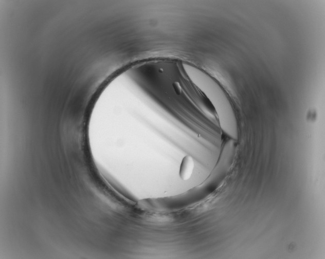 X0000090720156200708171934