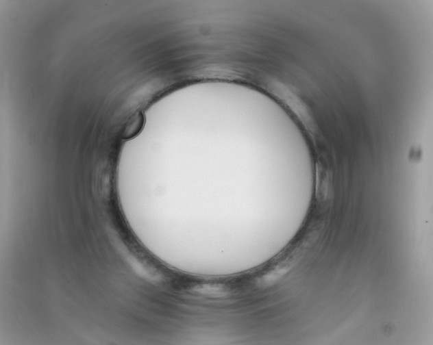 X0000090720157200708171934