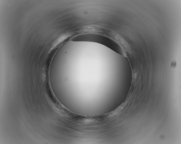X0000090720158200708171934