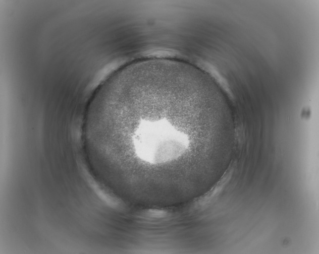 X0000090720159200708171934
