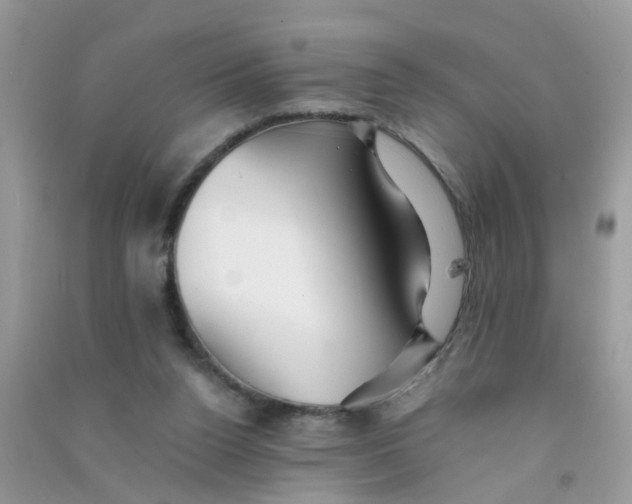 X0000090720160200708171934
