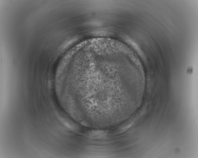 X0000090720161200708171934