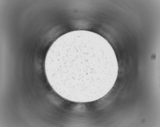 X0000090720162200708171934