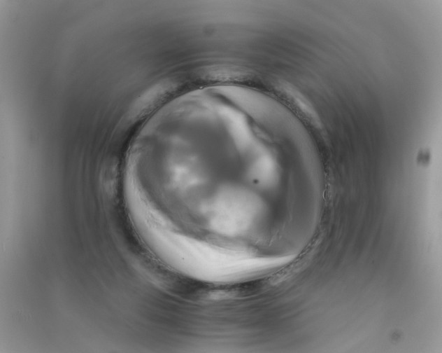 X0000090720163200708171934