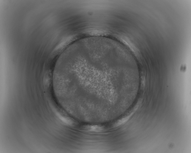 X0000090720165200708171934