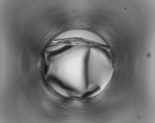 X0000090720166200708171934