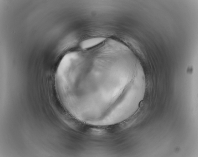X0000090720167200708171934