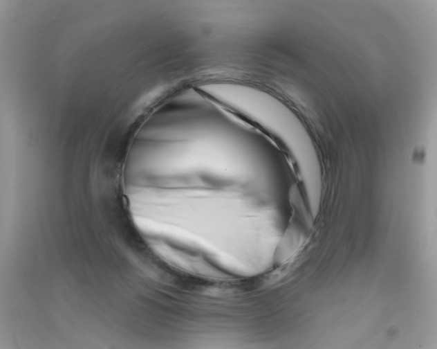 X0000090720168200708171934