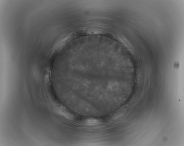 X0000090720169200708171934