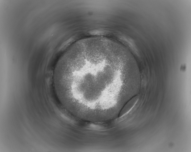 X0000090720171200708171934