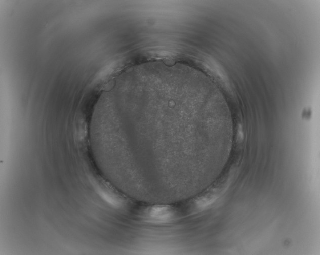 X0000090720173200708171934
