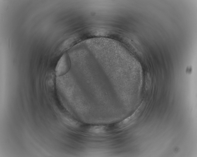 X0000090720175200708171934