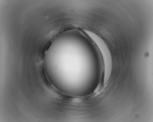 X0000090720176200708171934