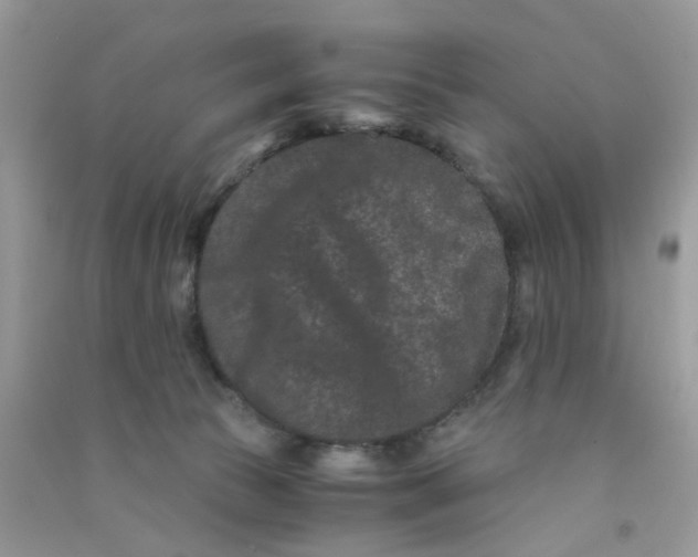 X0000090720177200708171934