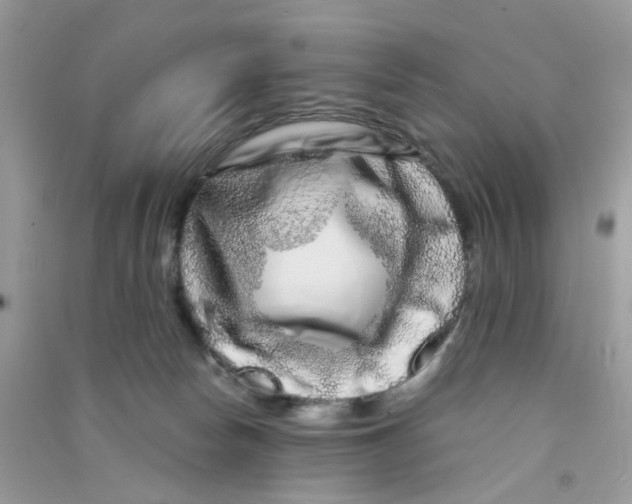 X0000090720178200708171934