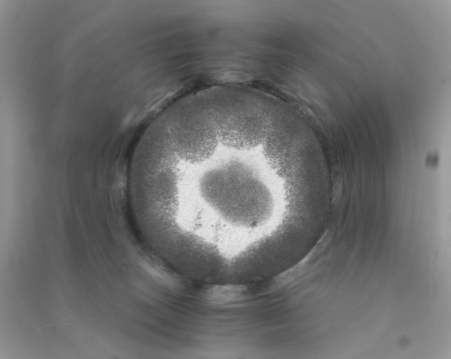 X0000090720179200708171934