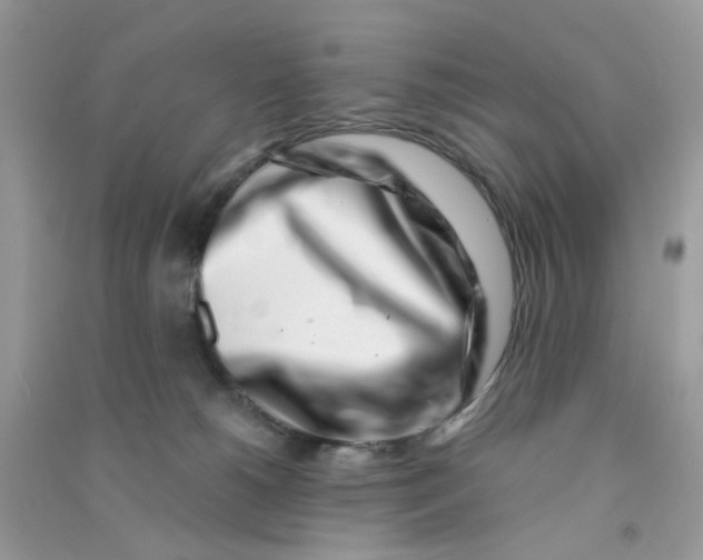 X0000090720180200708171934