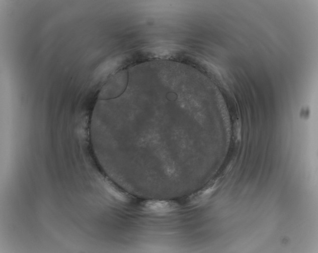 X0000090720181200708171934