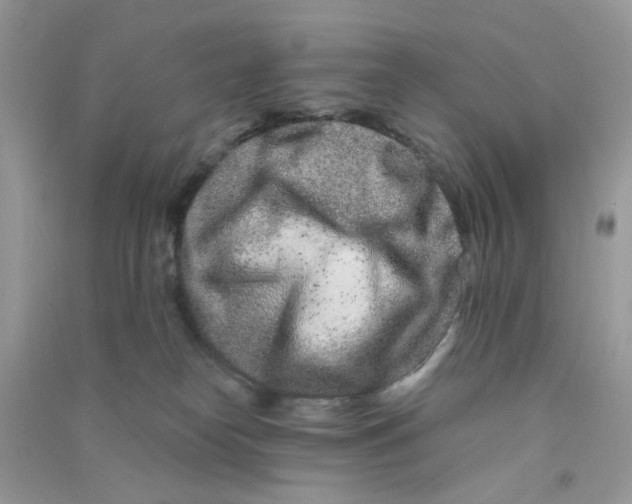 X0000090720182200708171934