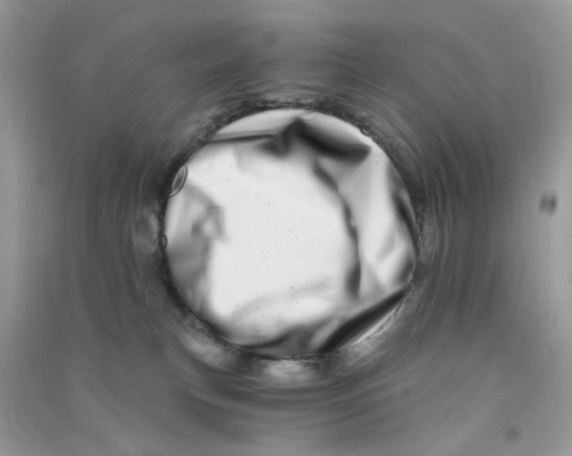 X0000090720183200708171934