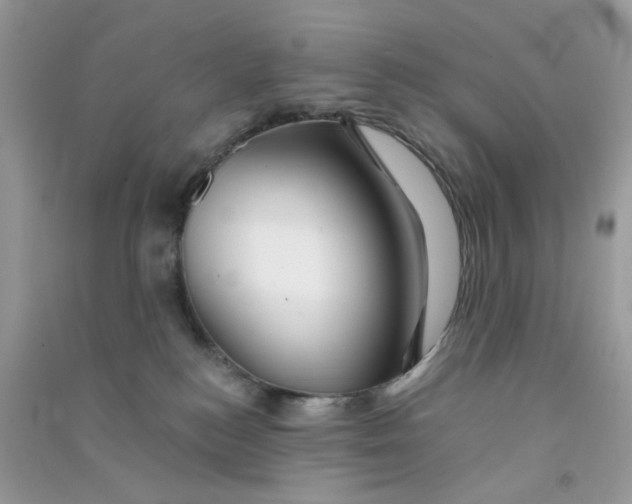X0000090720184200708171934