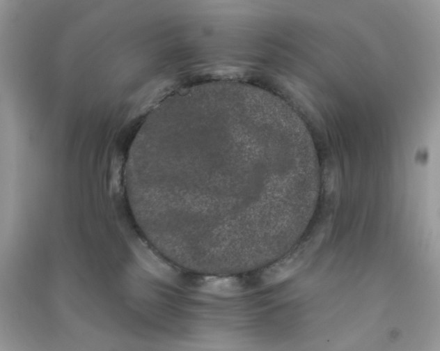 X0000090720185200708171934