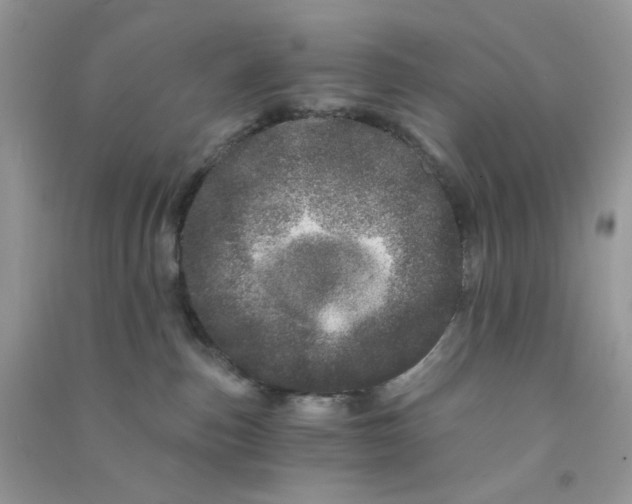 X0000090720187200708171934