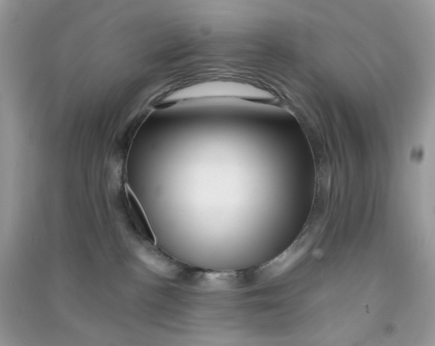 X0000090720188200708171934