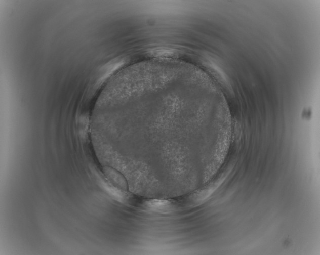 X0000090720189200708171934