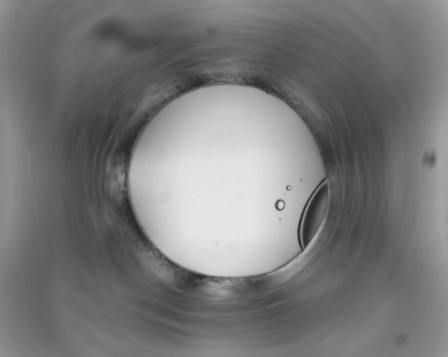 X0000090720190200708171934