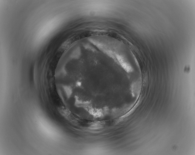 X0000090720191200708171934