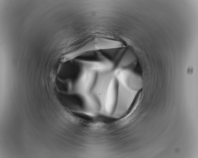 X0000090720192200708171934