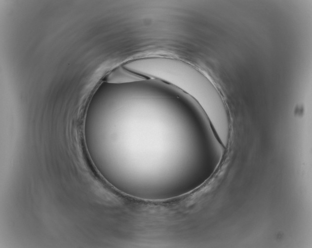 X0000090720193200708171933