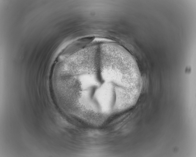 X0000090720195200708171933