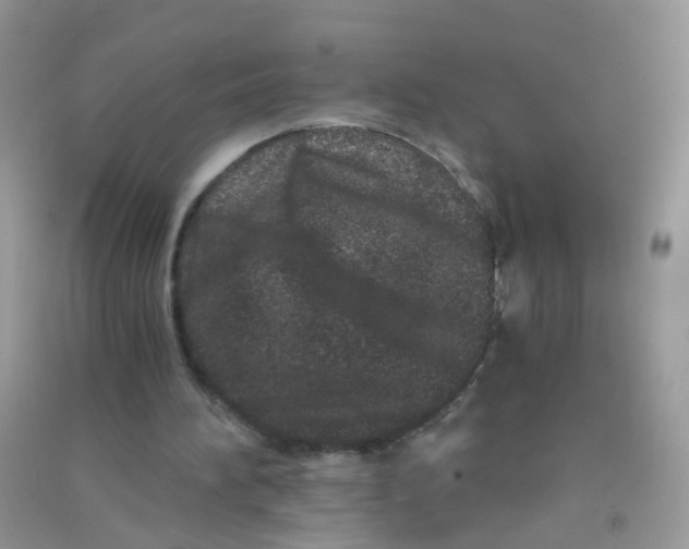 X0000090720196200708171933