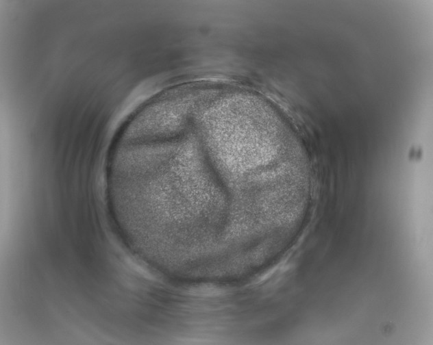 X0000090720198200708171933