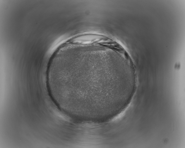 X0000090720199200708171933