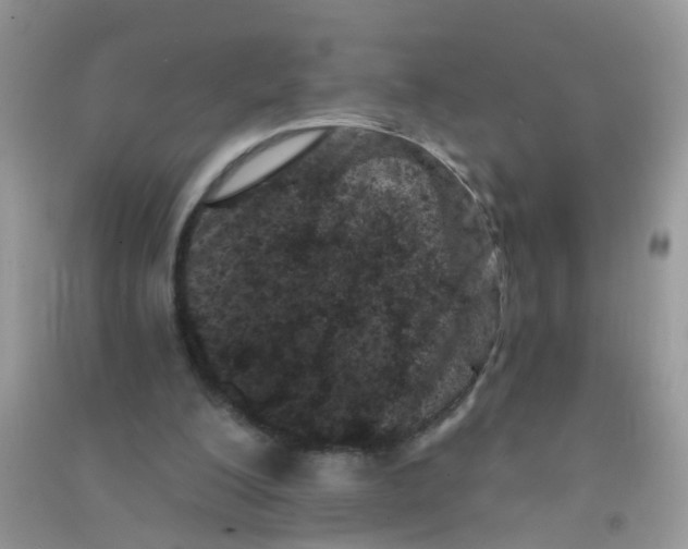 X0000090720200200708171933