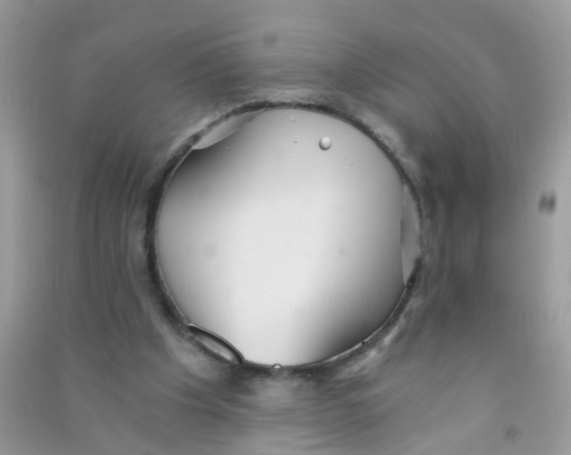 X0000090720201200708171933